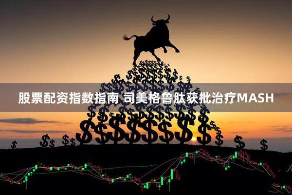 股票配资指数指南 司美格鲁肽获批治疗MASH