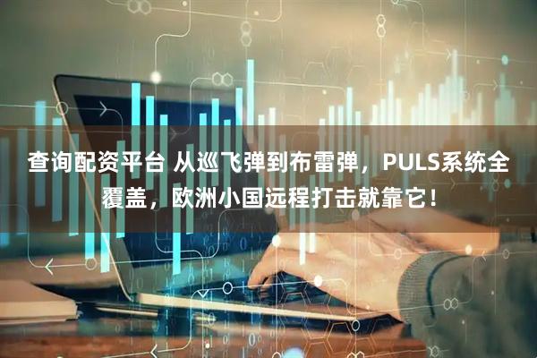 查询配资平台 从巡飞弹到布雷弹，PULS系统全覆盖，欧洲小国远程打击就靠它！